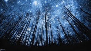 foto meditazione sotto le stelle